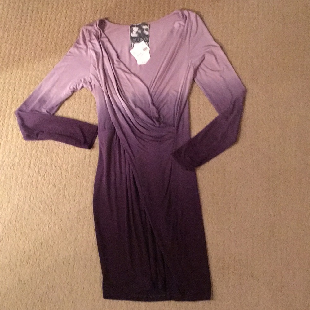 Young Fabulous & Broke dress